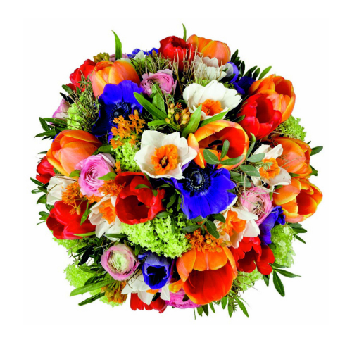 Assortment of Flowers